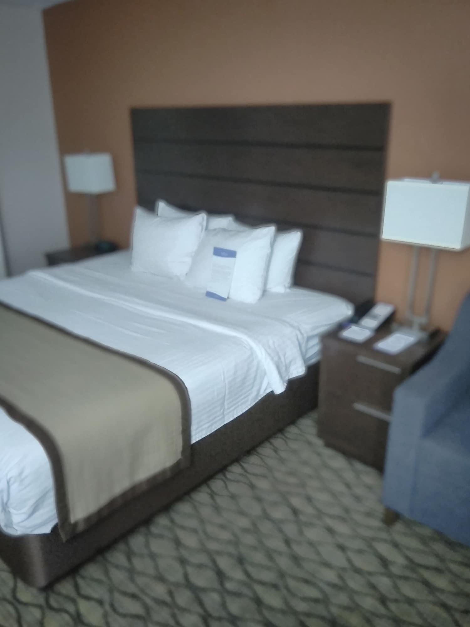 Hotel Baymont By Wyndham Madison Heights Detroit Area Esterno foto