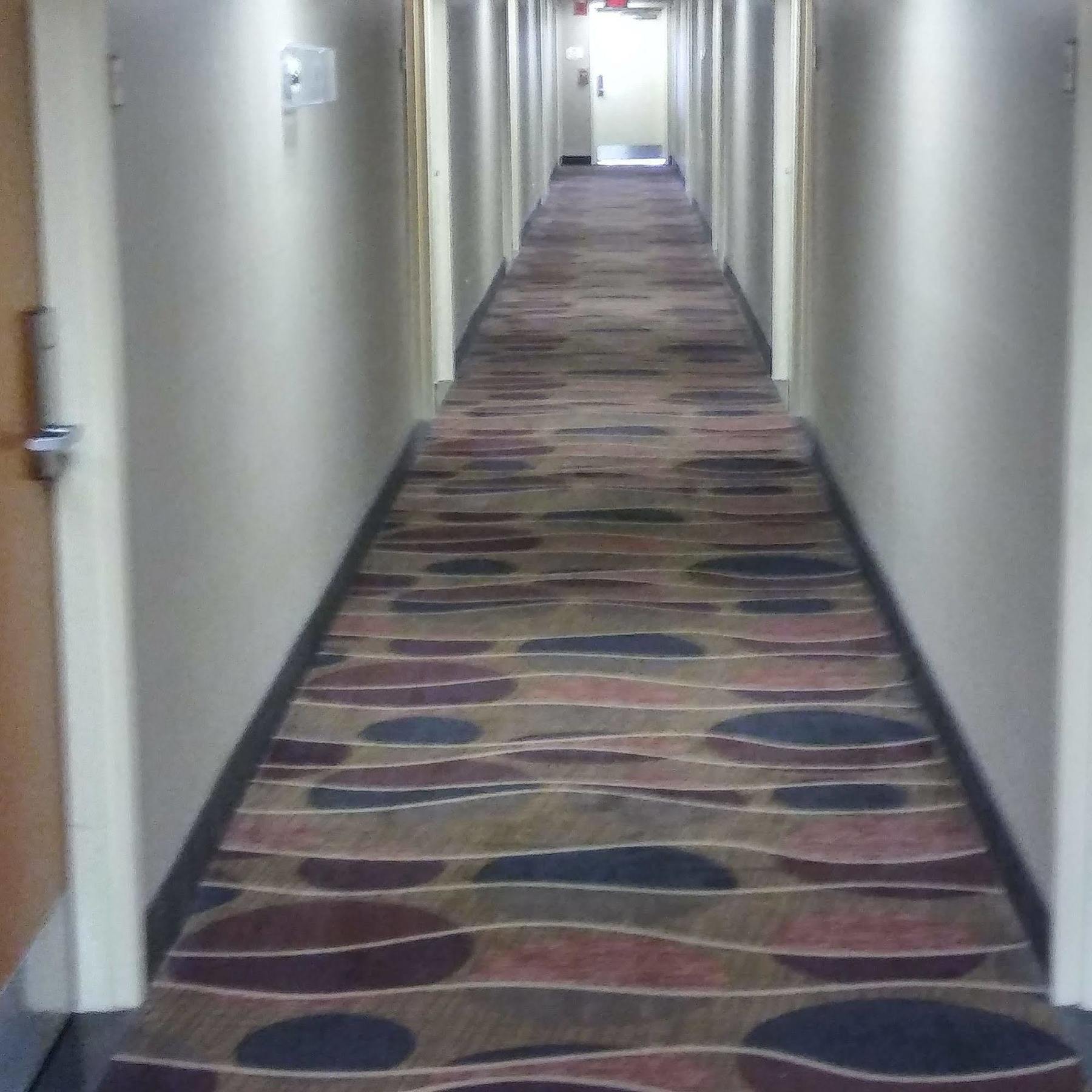 Hotel Baymont By Wyndham Madison Heights Detroit Area Esterno foto